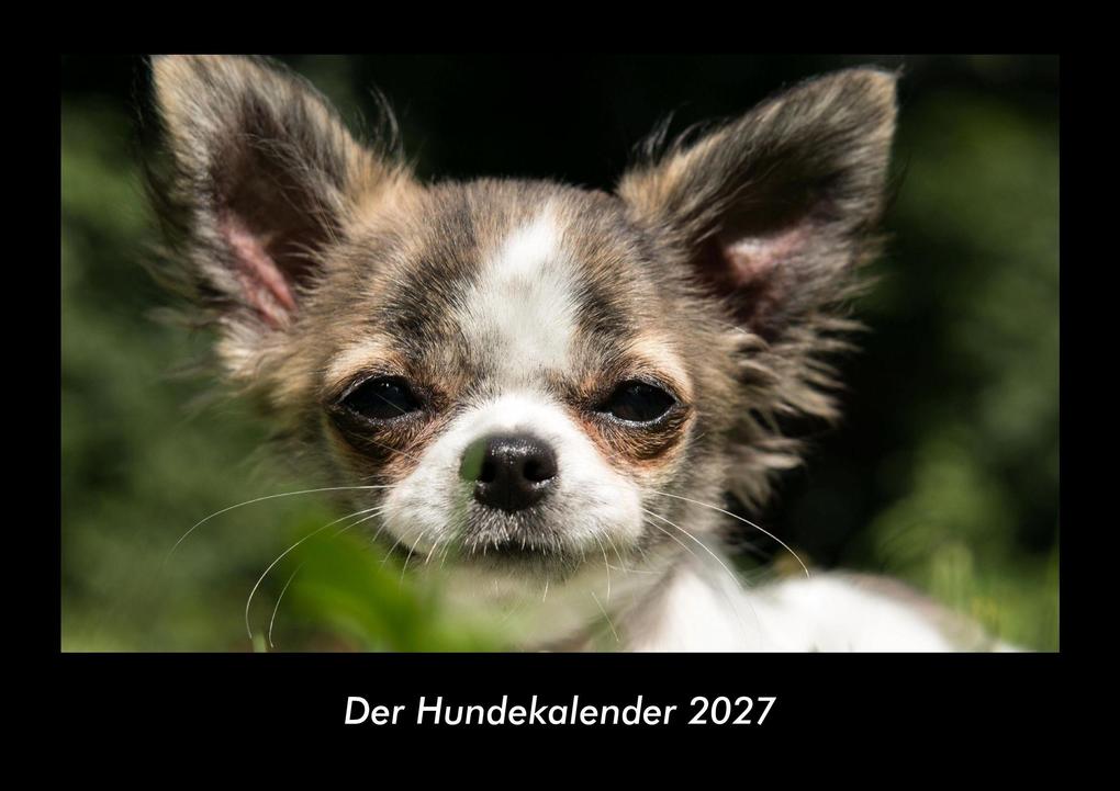 Der Hundekalender 2027 Fotokalender DIN A3