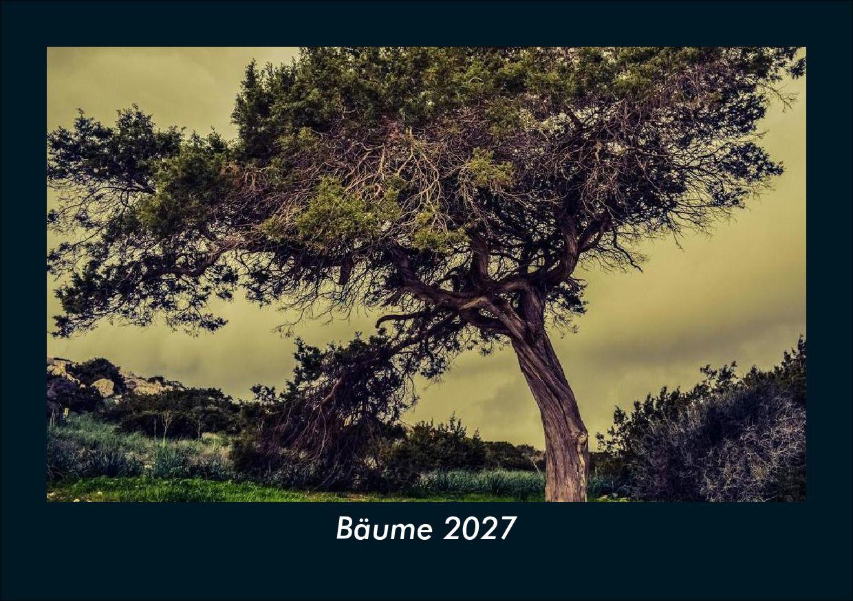 Bäume 2027 Fotokalender DIN A5