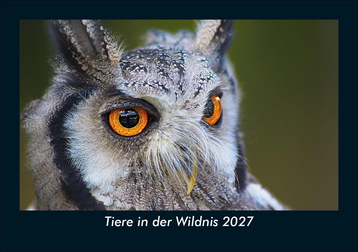 Tiere in der Wildnis 2027 Fotokalender DIN A5