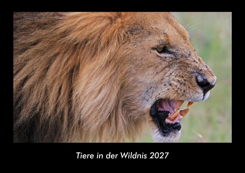 Tiere in der Wildnis 2027 Fotokalender DIN A3