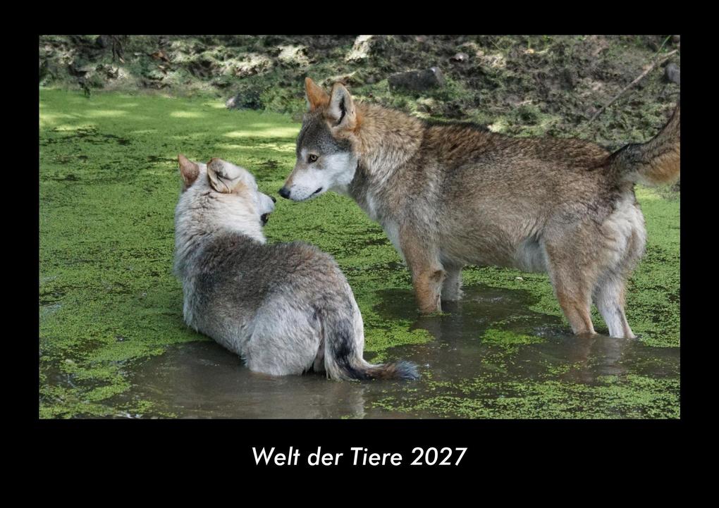 Welt der Tiere 2027 Fotokalender DIN A3