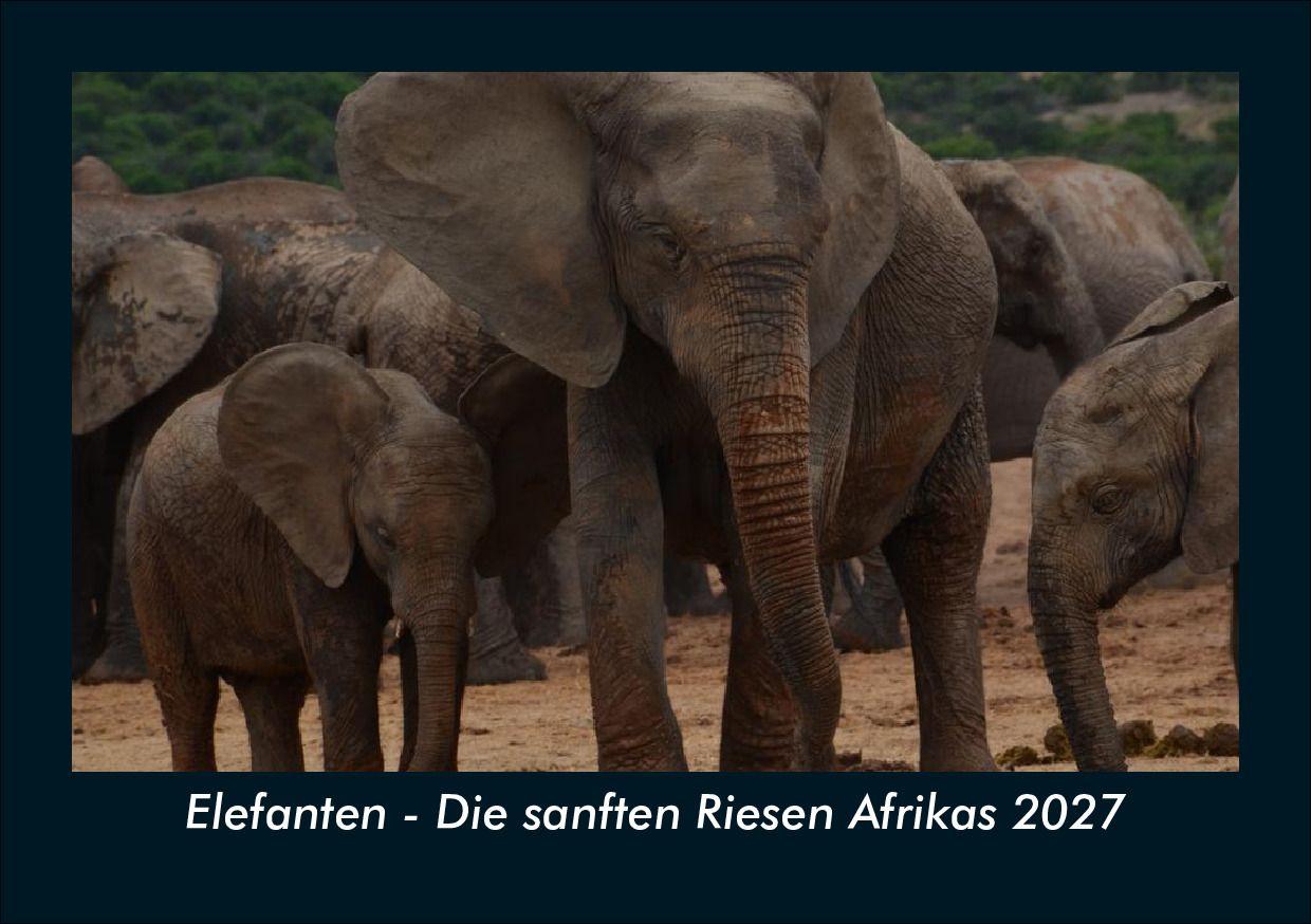 Elefanten - Die sanften Riesen Afrikas 2027 Fotokalender DIN A5