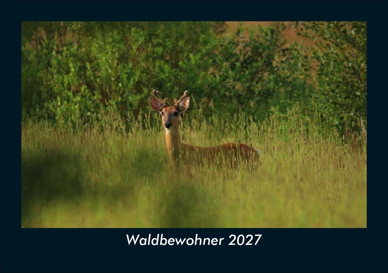 Waldbewohner 2027 Fotokalender DIN A5