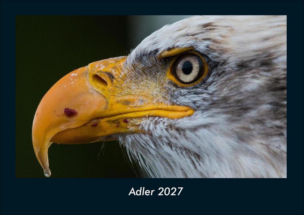 Adler 2027 Fotokalender DIN A4