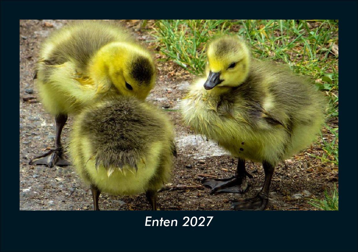 Enten 2027 Fotokalender DIN A5