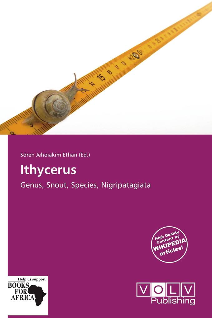Ithycerus