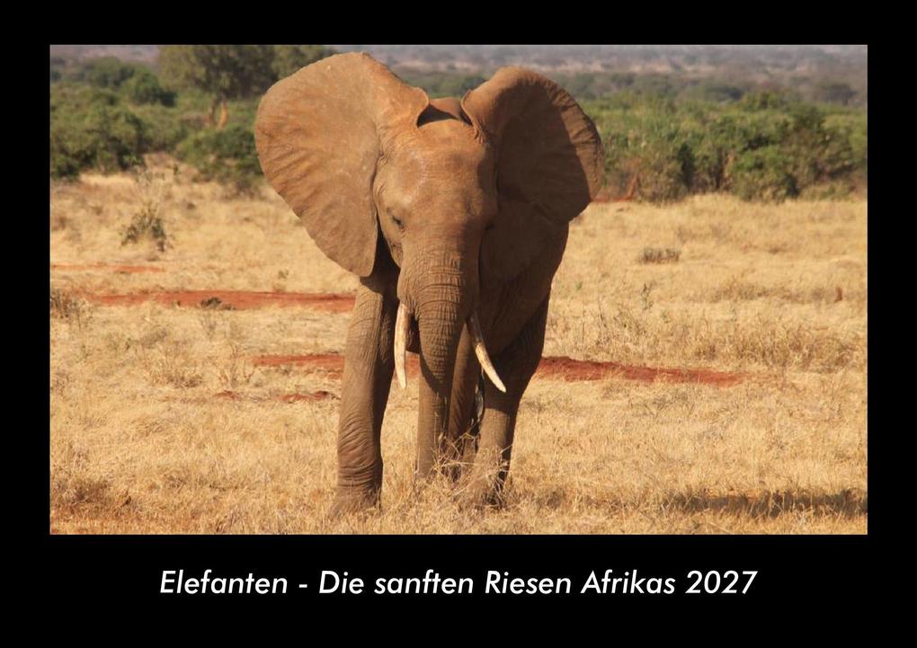 Elefanten - Die sanften Riesen Afrikas 2027 Fotokalender DIN A3