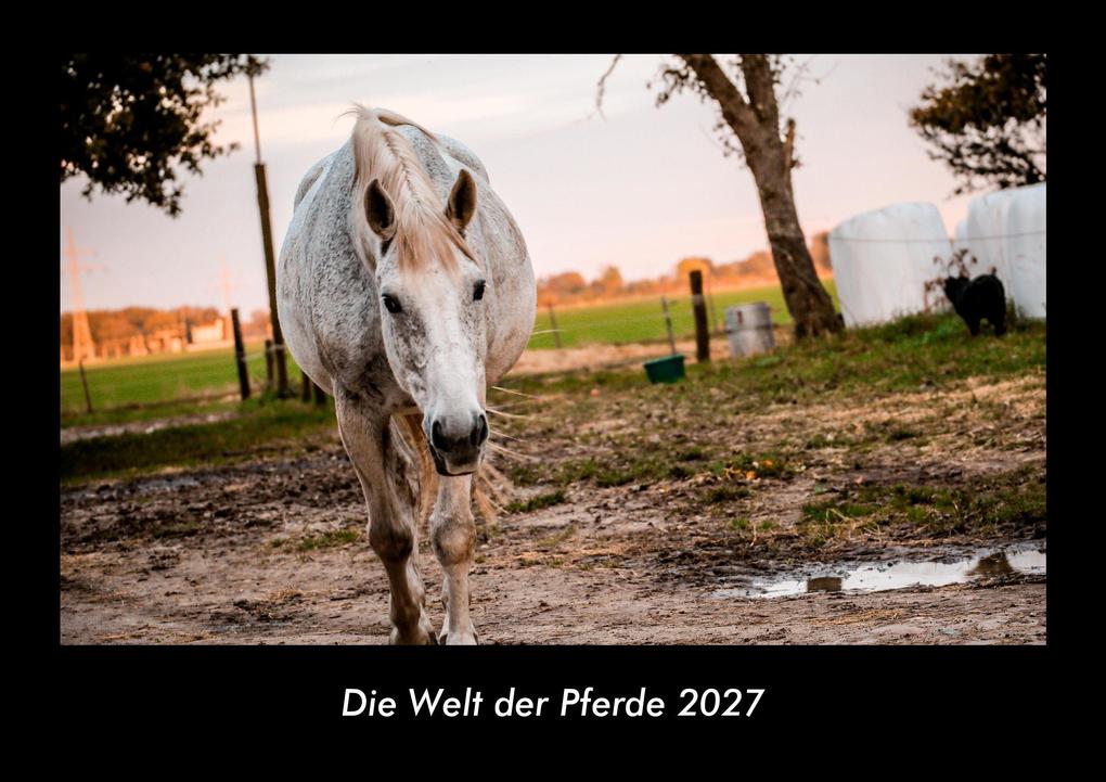 Die Welt der Pferde 2027 Fotokalender DIN A3