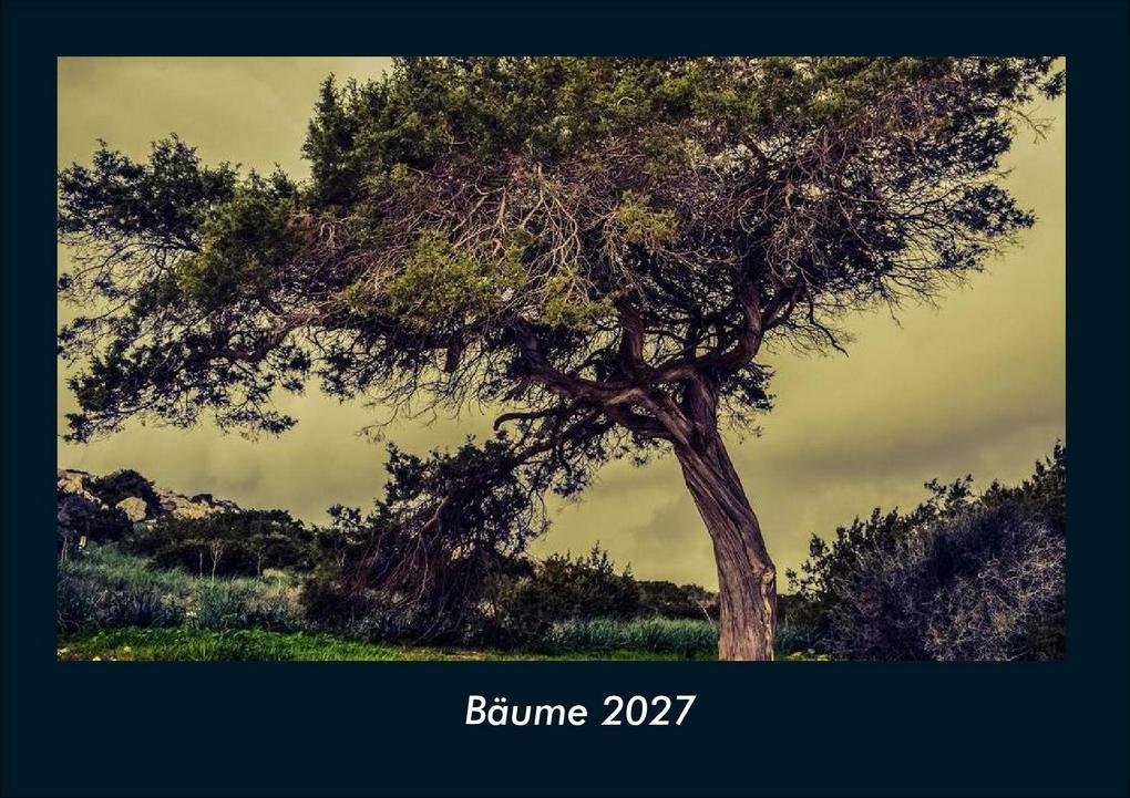 Bäume 2027 Fotokalender DIN A4