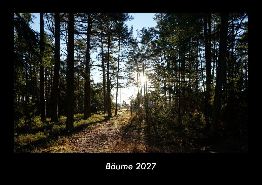 Bäume 2027 Fotokalender DIN A3