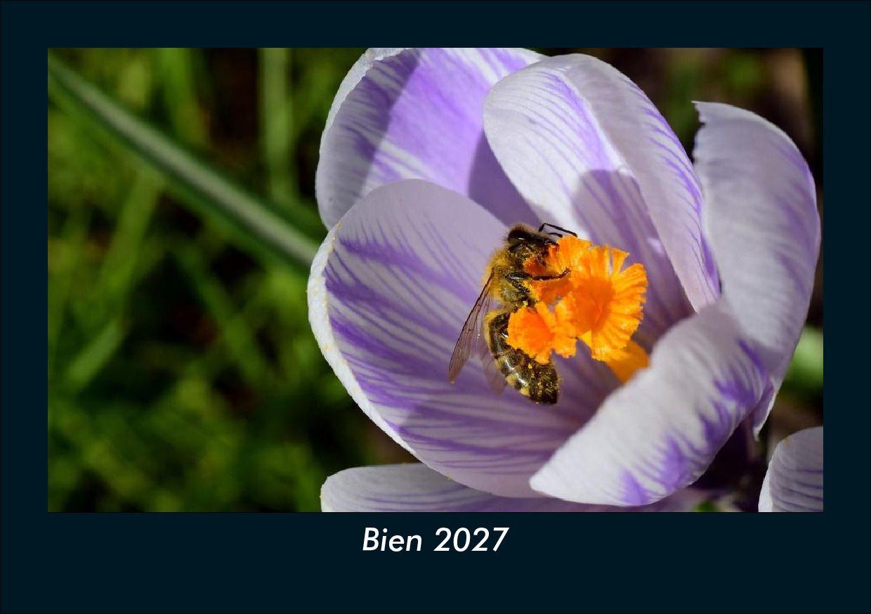 Bien 2027 Fotokalender DIN A5