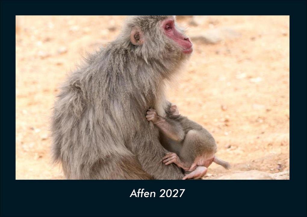 Affen 2027 Fotokalender DIN A4