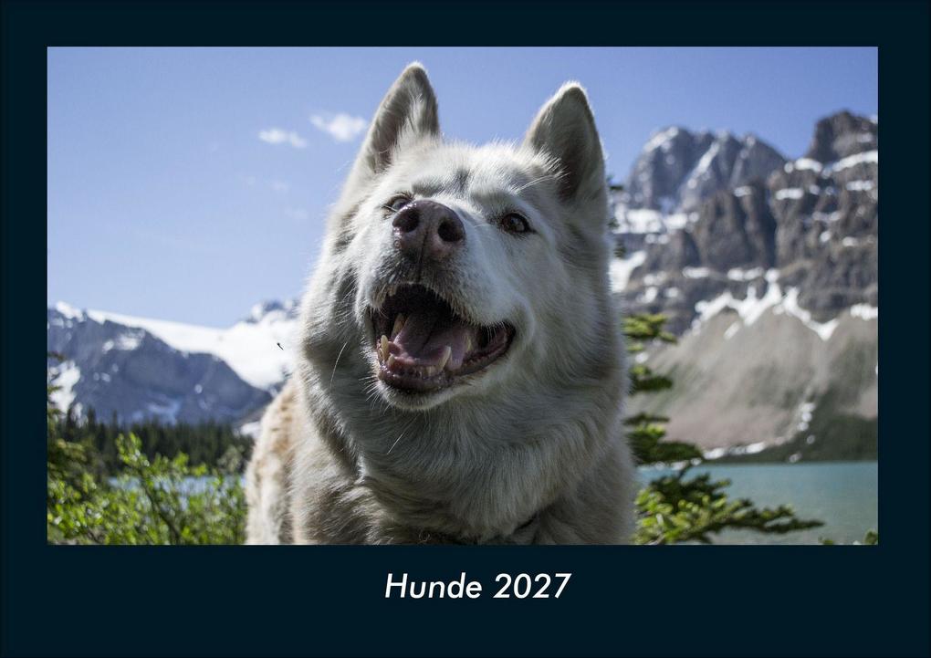 Hunde 2027 Fotokalender DIN A4