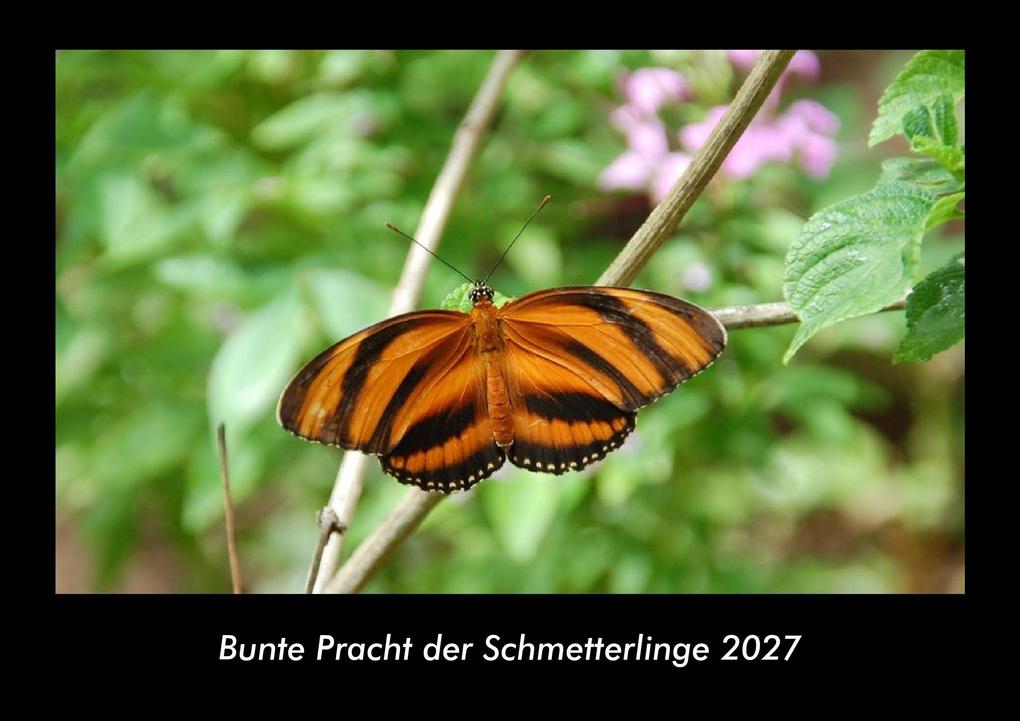 Bunte Pracht der Schmetterlinge 2027 Fotokalender DIN A3