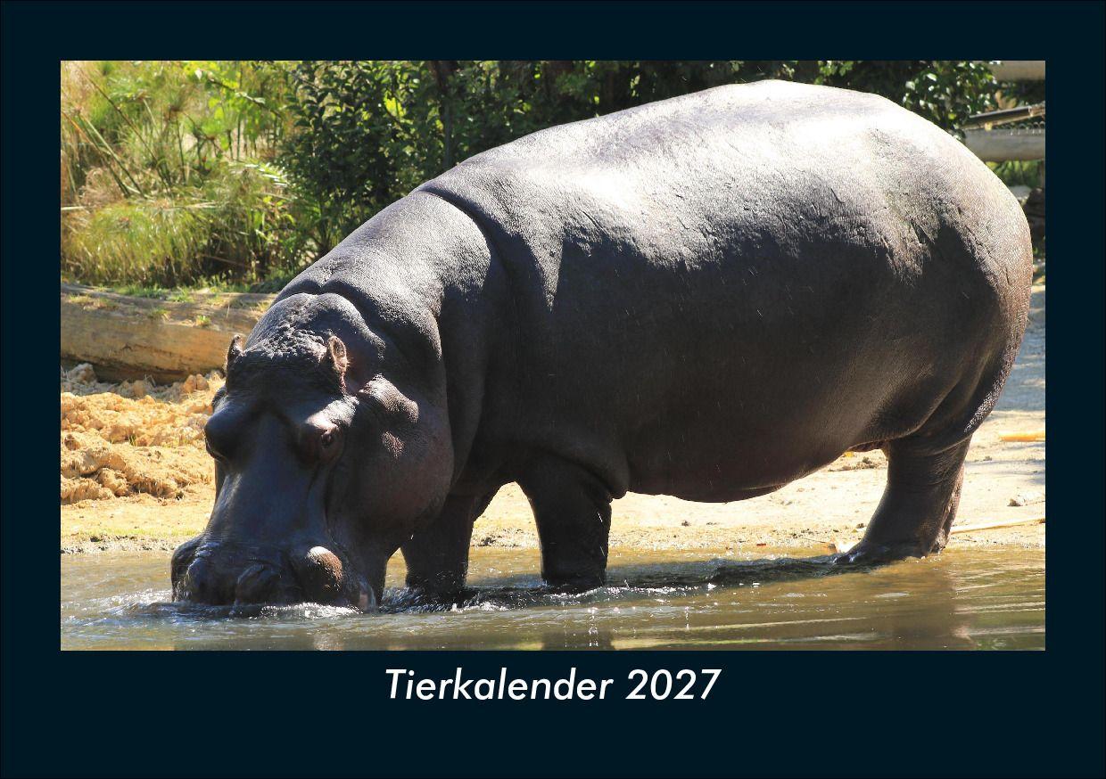 Tierkalender 2027 Fotokalender DIN A5