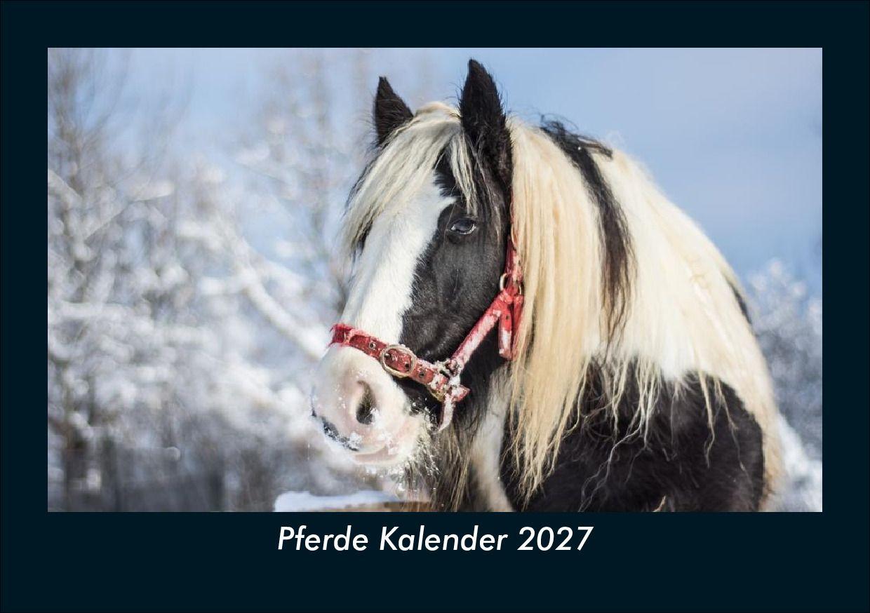 Pferde Kalender 2027 Fotokalender DIN A5