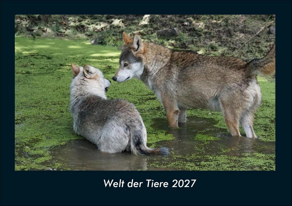 Welt der Tiere 2027 Fotokalender DIN A4