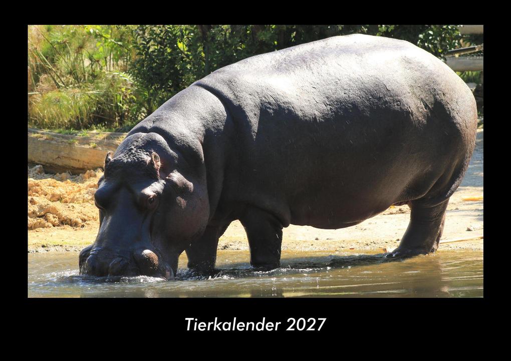 Tierkalender 2027 Fotokalender DIN A3