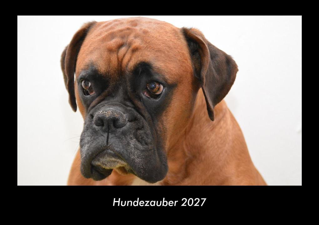 Hundezauber 2027 Fotokalender DIN A3