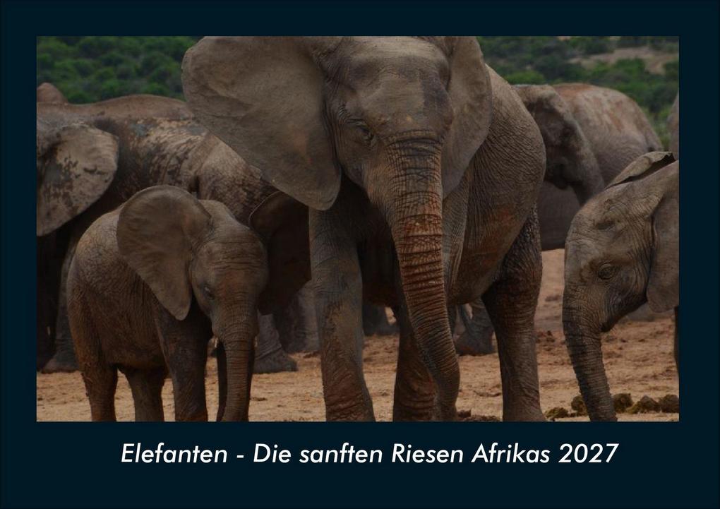 Elefanten - Die sanften Riesen Afrikas 2027 Fotokalender DIN A4