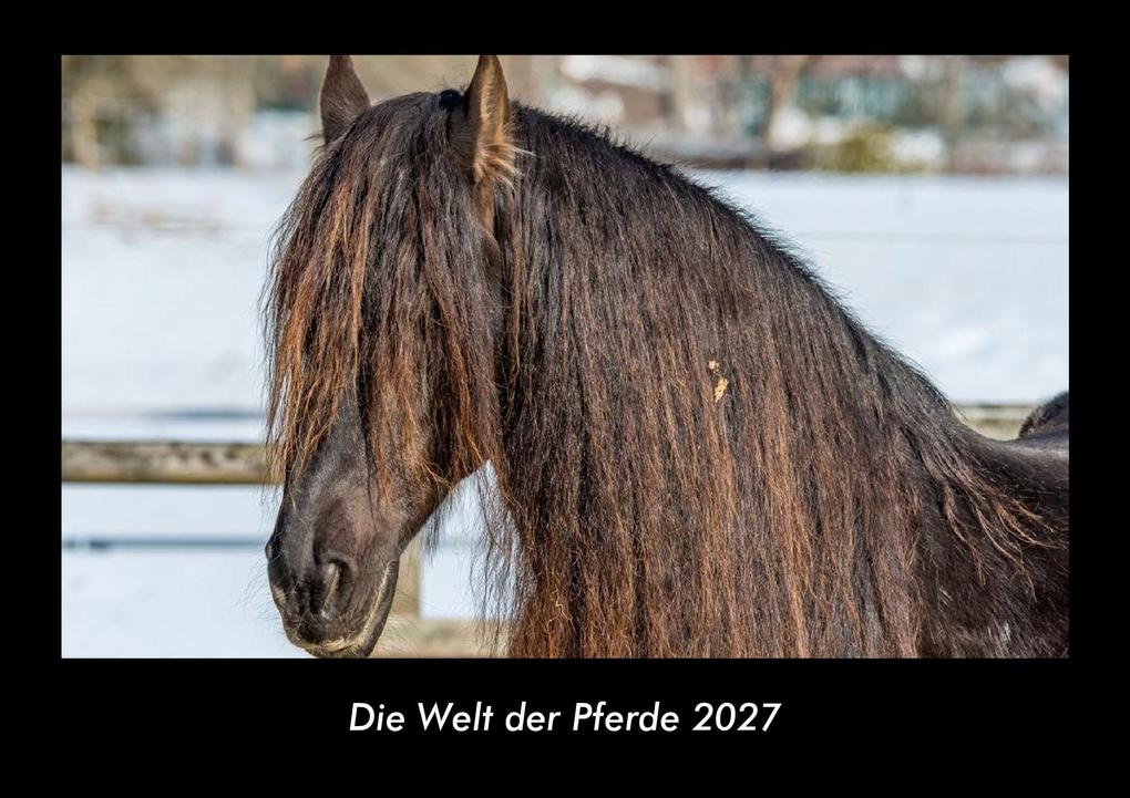 Die Welt der Pferde 2027 Fotokalender DIN A3