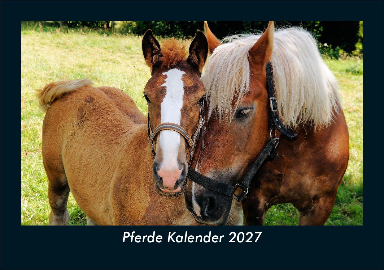 Pferde Kalender 2027 Fotokalender DIN A5