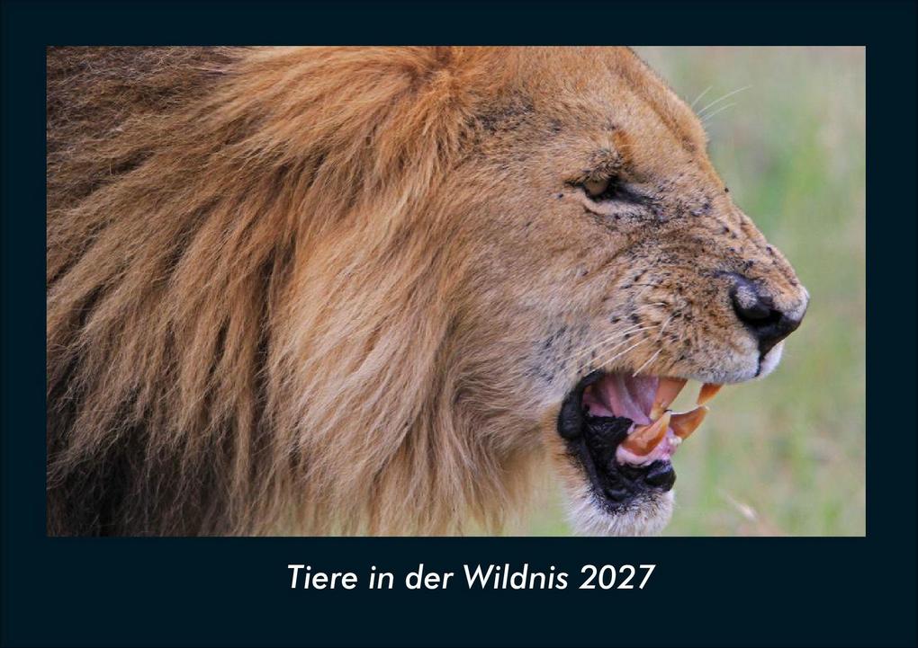 Tiere in der Wildnis 2027 Fotokalender DIN A4