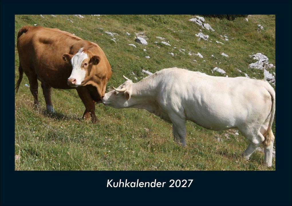 Kuhkalender 2027 Fotokalender DIN A4