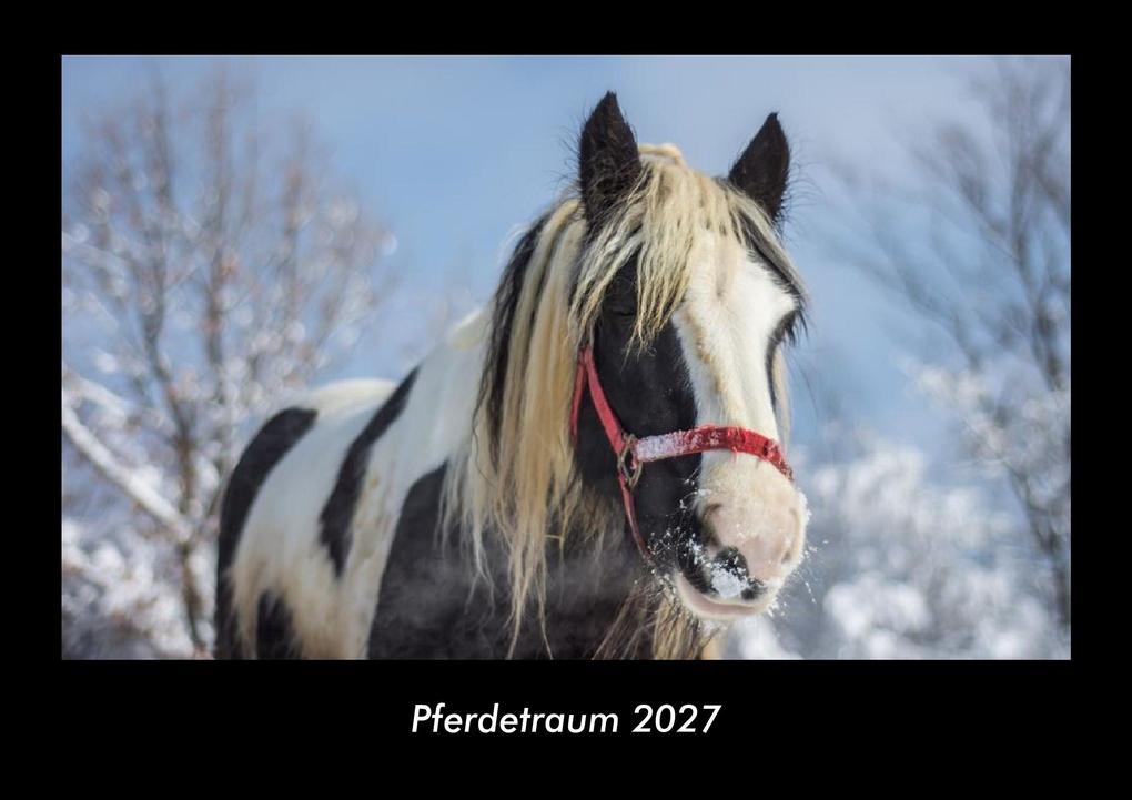 Pferdetraum 2027 Fotokalender DIN A3