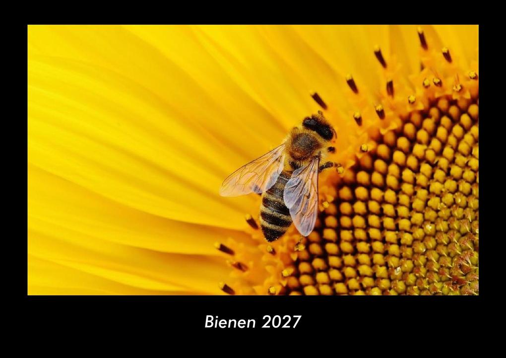 Bienen 2027 Fotokalender DIN A3
