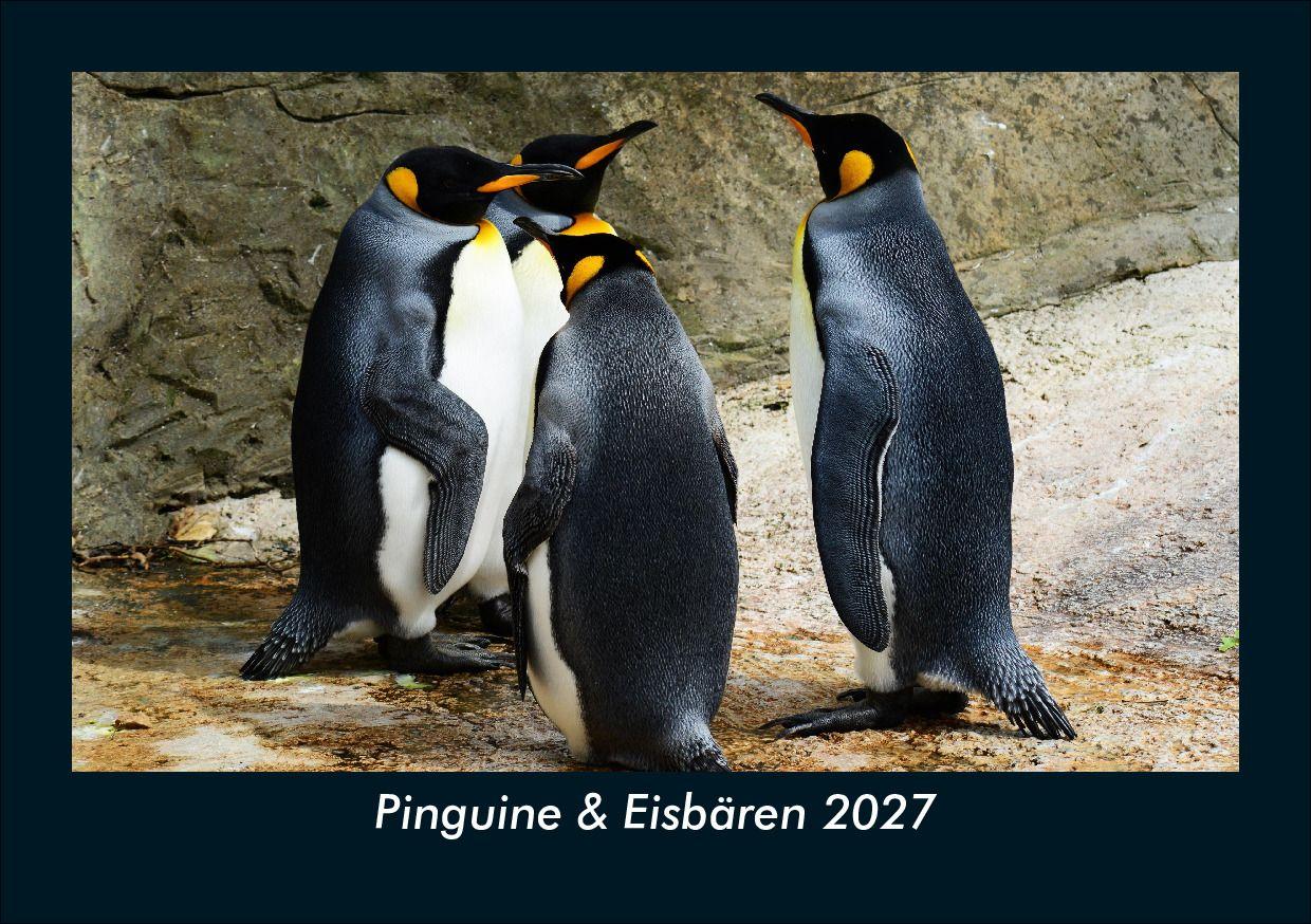 Pinguine & Eisbären 2027 Fotokalender DIN A5