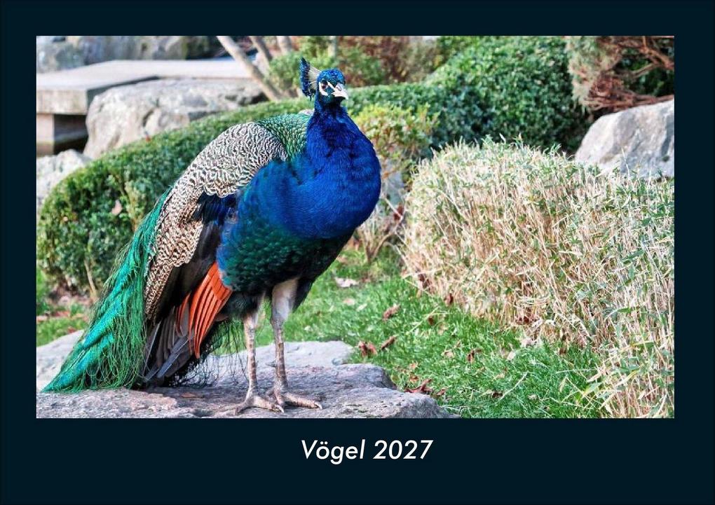 Vögel 2027 Fotokalender DIN A4