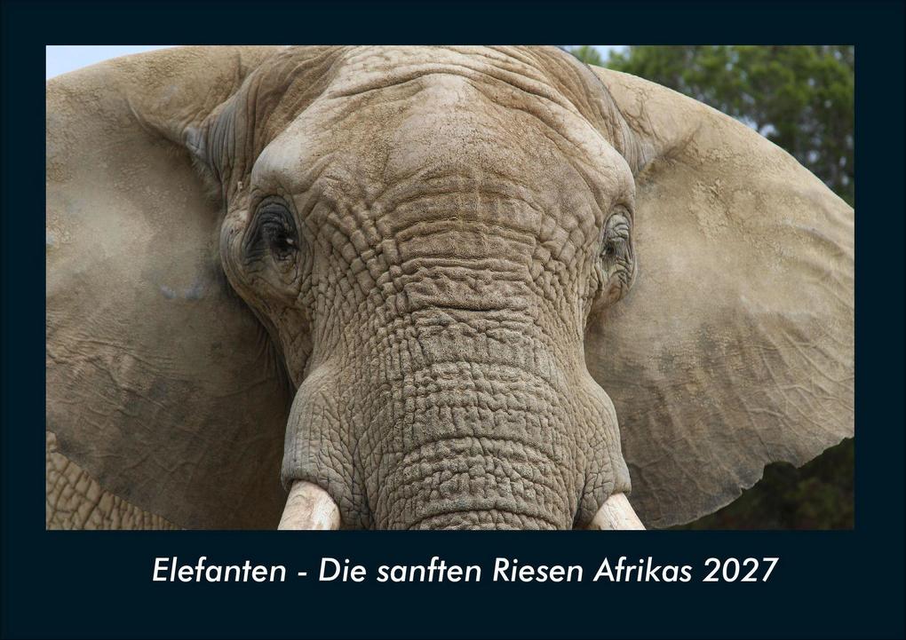 Elefanten - Die sanften Riesen Afrikas 2027 Fotokalender DIN A4