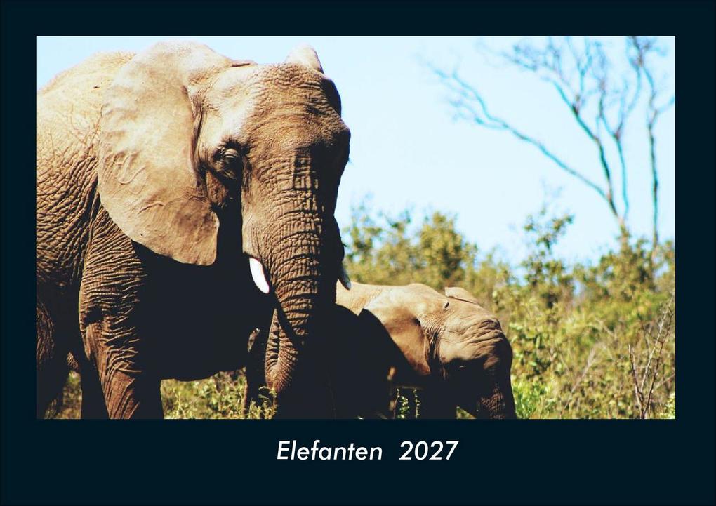 Elefanten 2027 Fotokalender DIN A4
