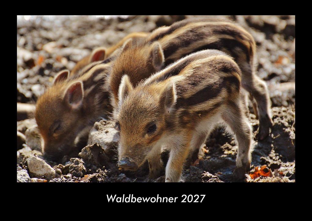 Waldbewohner 2027 Fotokalender DIN A3