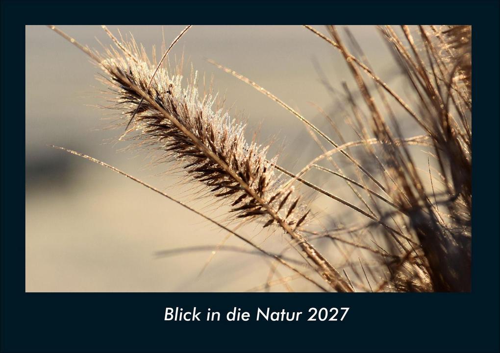 Blick in die Natur 2027 Fotokalender DIN A4