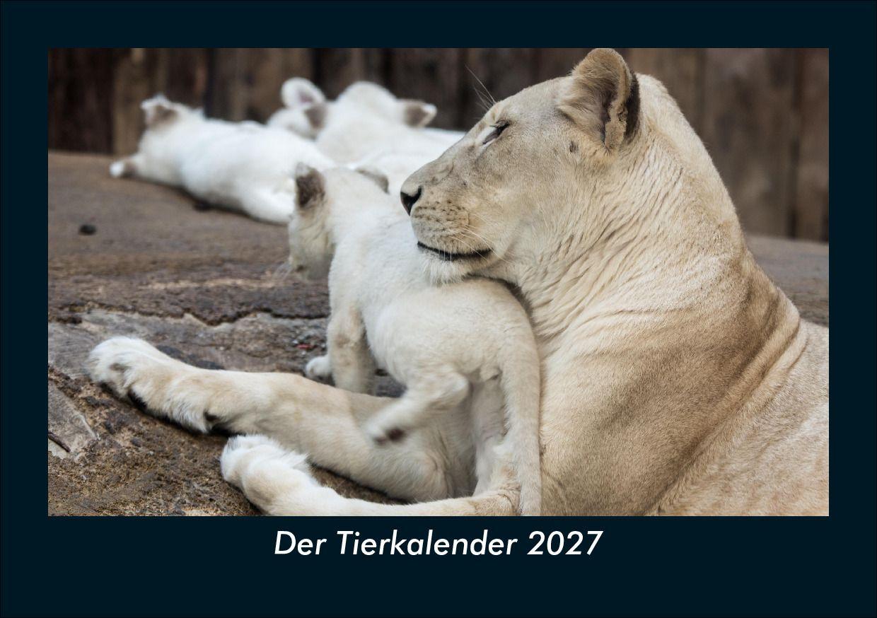 Der Tierkalender 2027 Fotokalender DIN A5