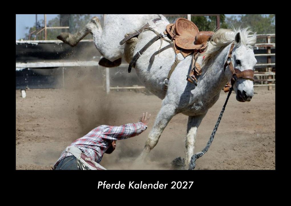 Pferde Kalender 2027 Fotokalender DIN A3