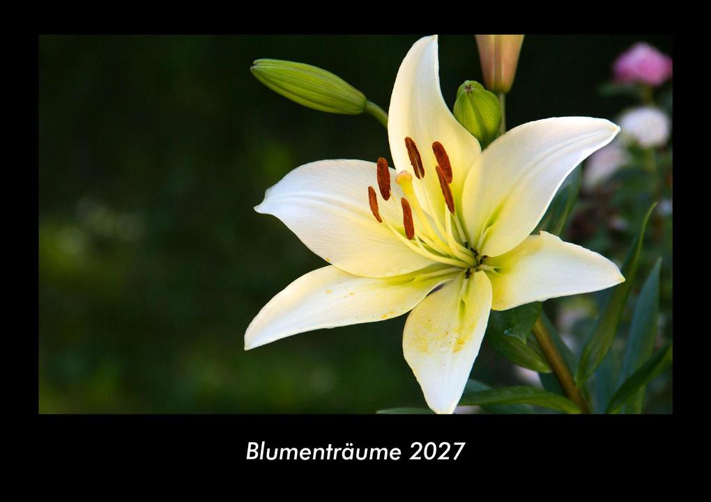 Blumenträume 2027 Fotokalender DIN A3