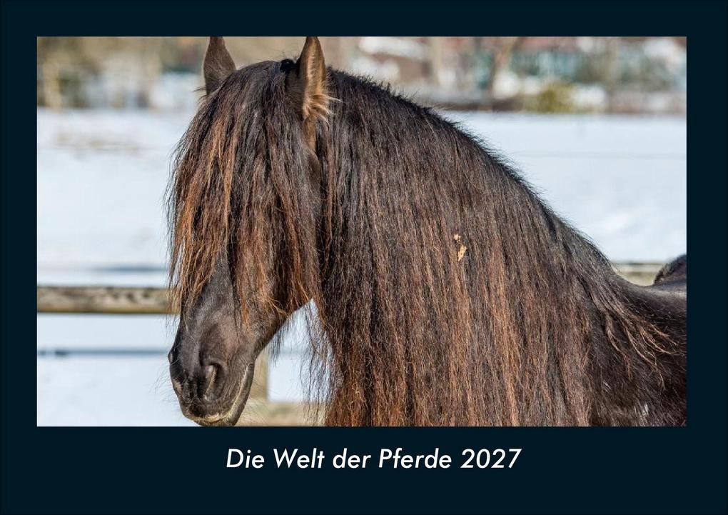 Die Welt der Pferde 2027 Fotokalender DIN A4