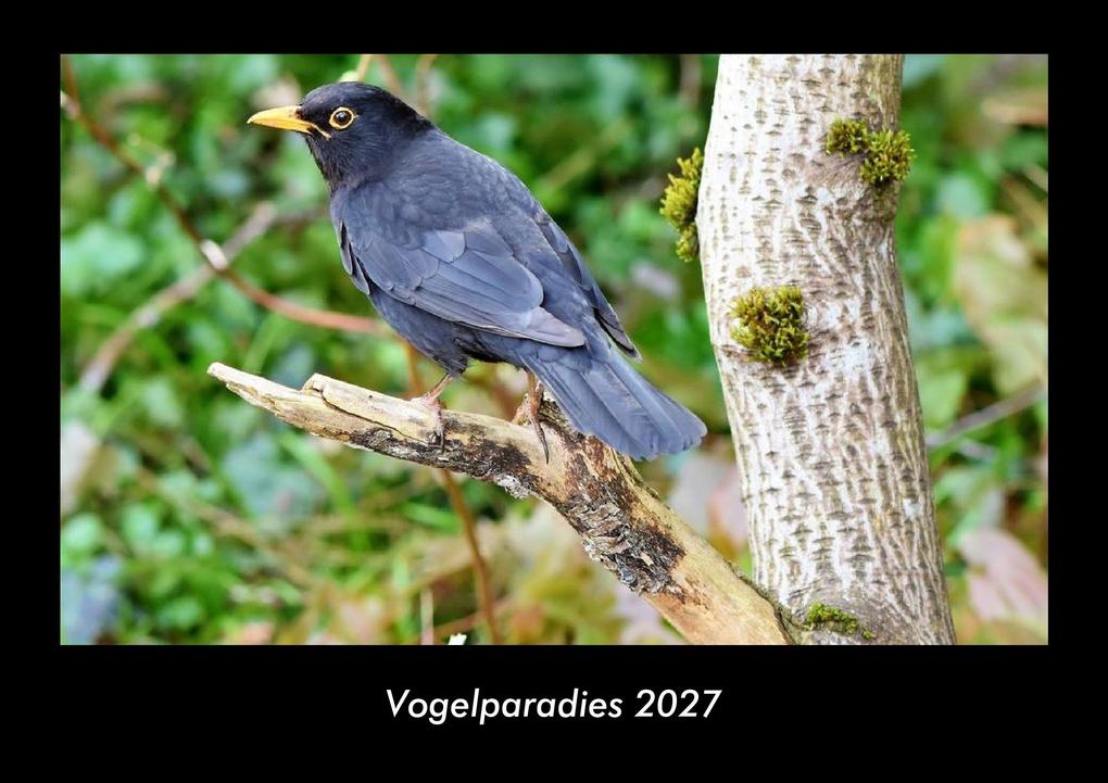 Vogelparadies 2027 Fotokalender DIN A3