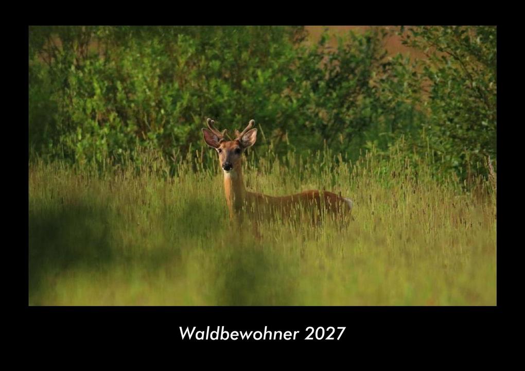 Waldbewohner 2027 Fotokalender DIN A3