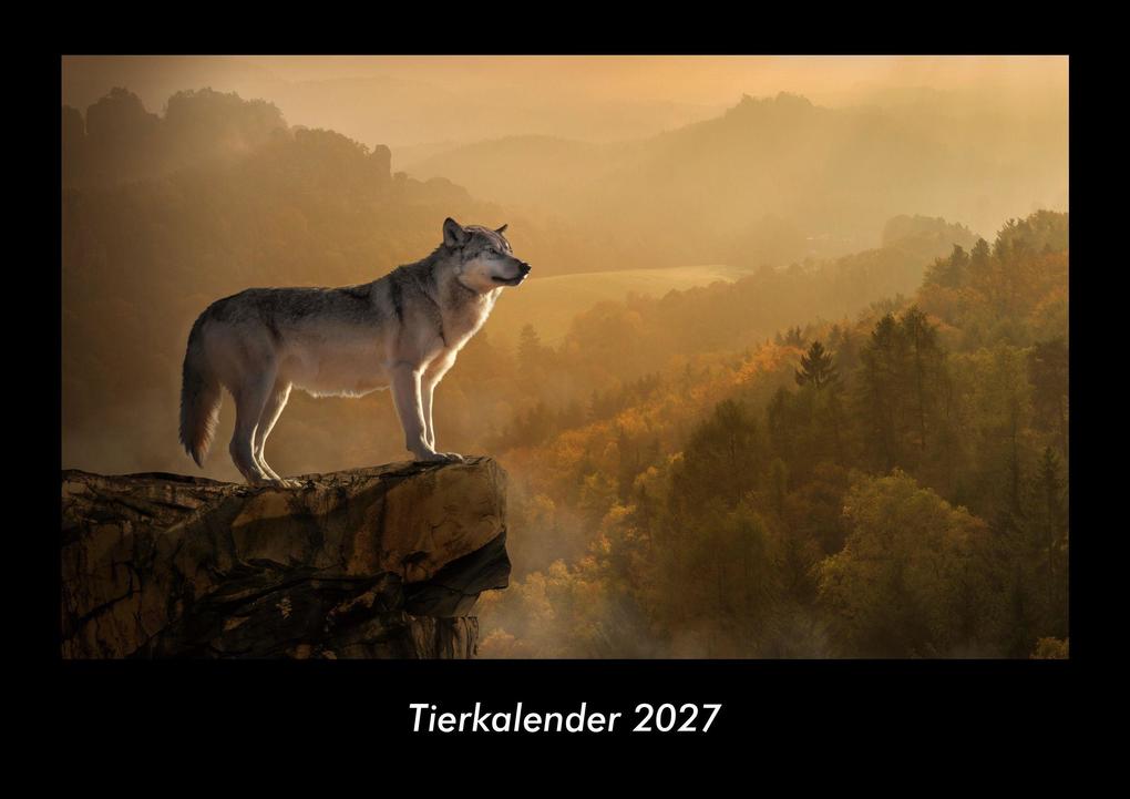 Tierkalender 2027 Fotokalender DIN A3