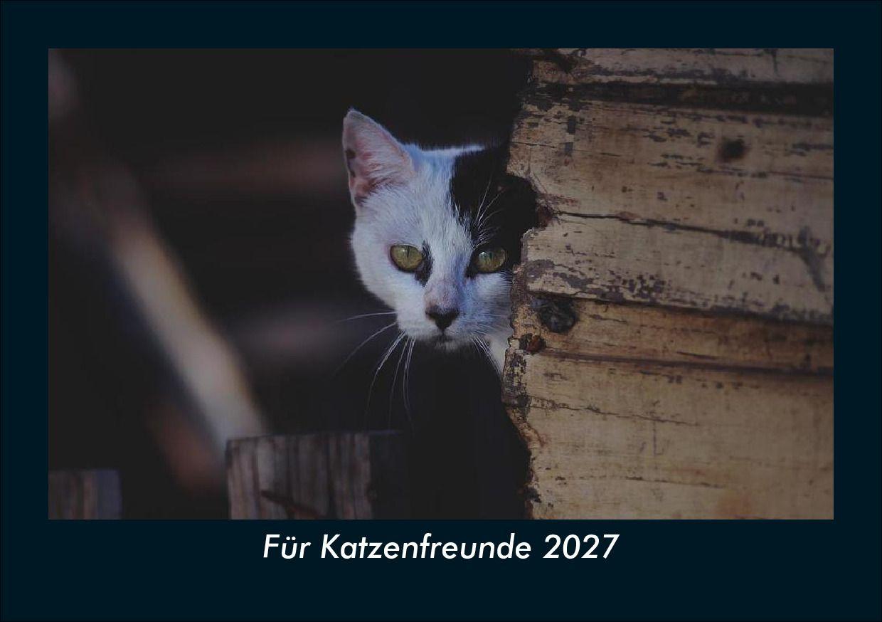 Für Katzenfreunde 2027 Fotokalender DIN A5
