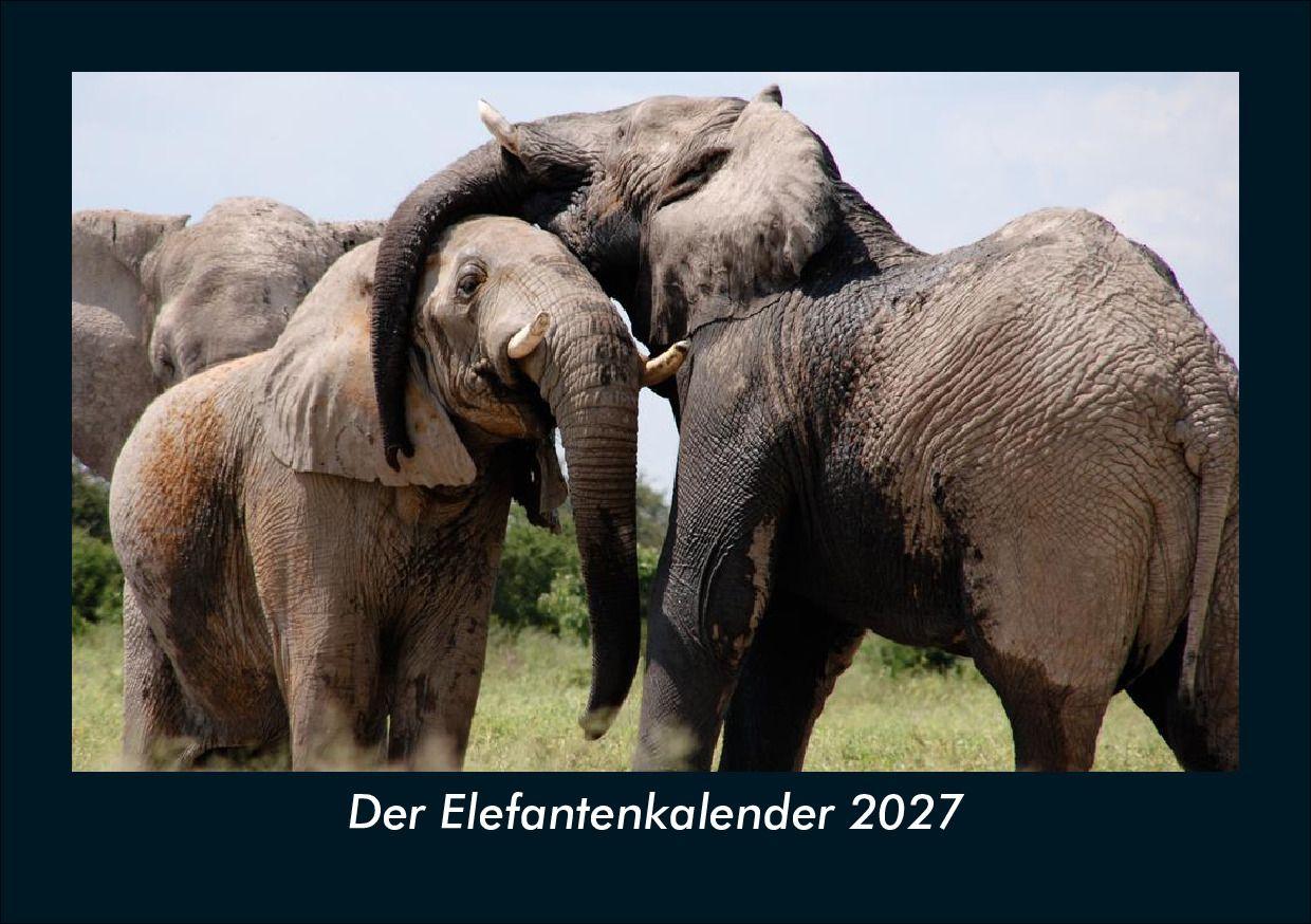 Der Elefantenkalender 2027 Fotokalender DIN A5