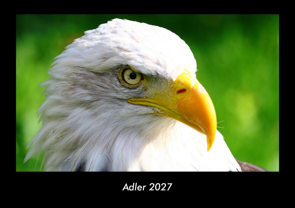Adler 2027 Fotokalender DIN A3