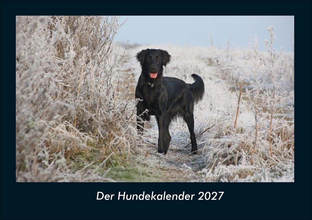 Der Hundekalender 2027 Fotokalender DIN A4