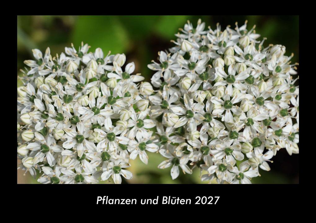 Pflanzen und Blüten 2027 Fotokalender DIN A3
