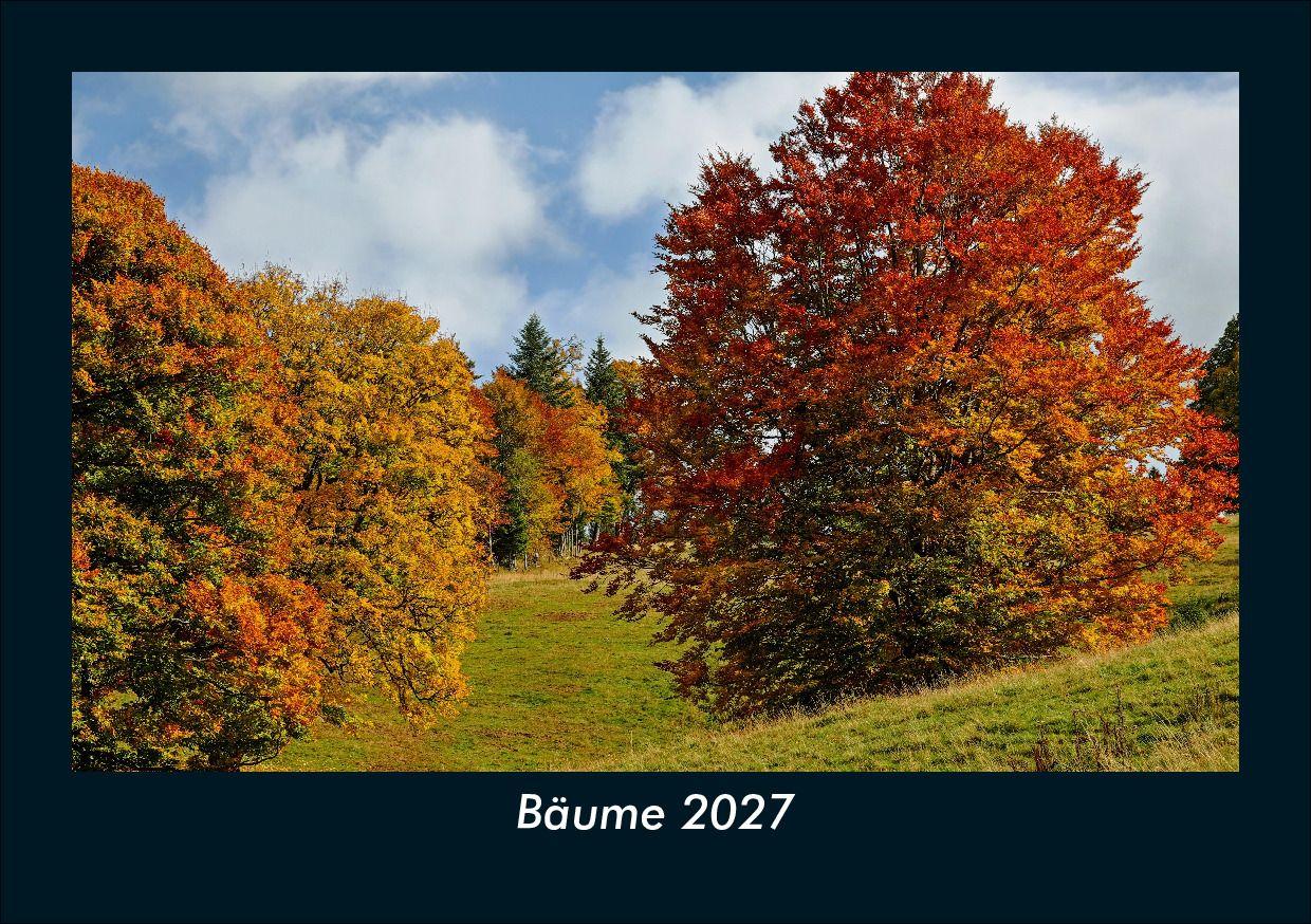 Bäume 2027 Fotokalender DIN A5