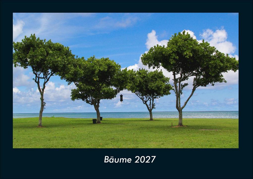 Bäume 2027 Fotokalender DIN A4